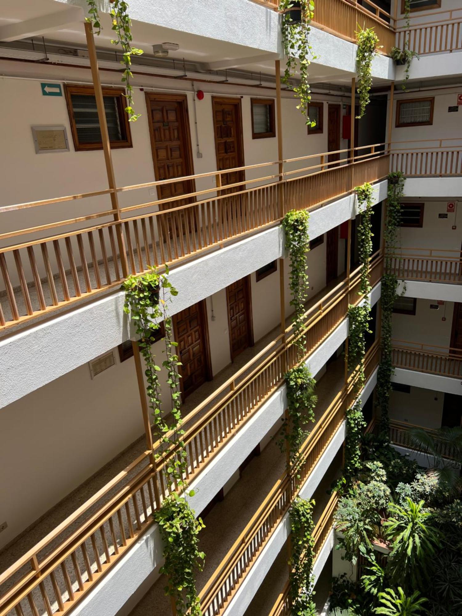 En Plaza Del Charco Apartment *